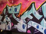 Graffiti Art On Trains (2009 – 2011)