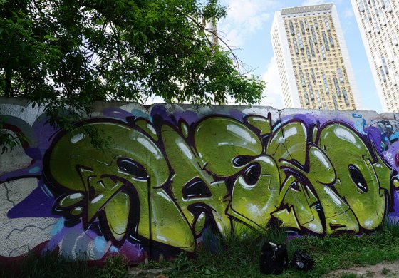 607-Caiman - Цвет июня от Arton