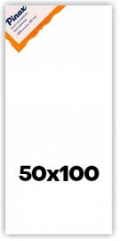 Холст Pinax на подрамнике 50х100