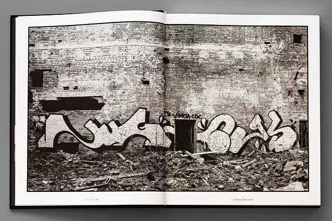 Книга Crack and Shine Книга Crack and Shine