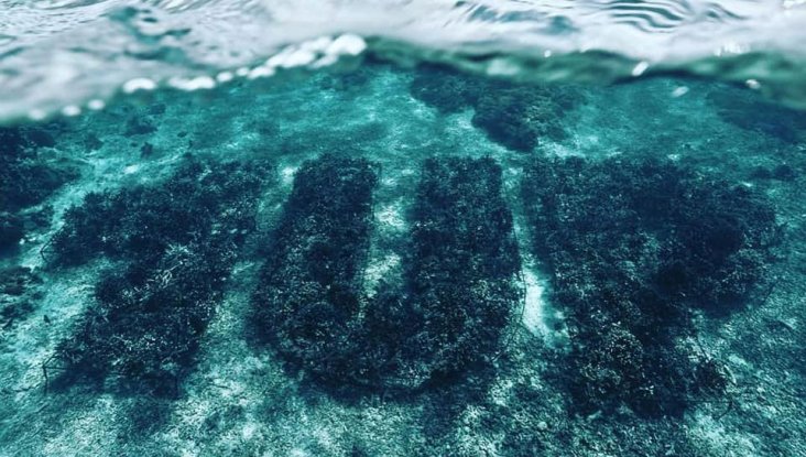 Первый в мире подводный тег из кораллов - 1UP crew